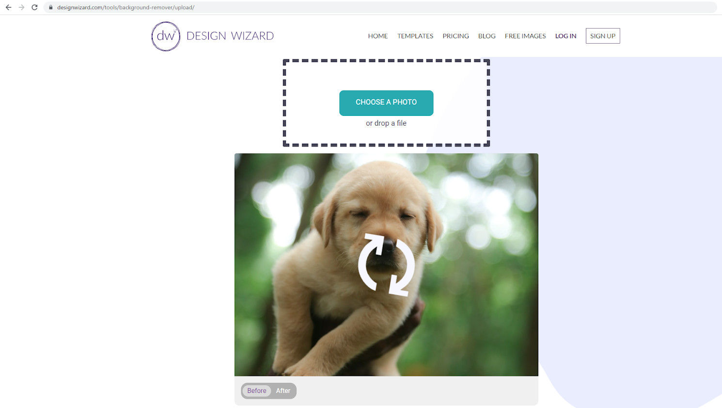 Screenshot of page with pic of a puppy