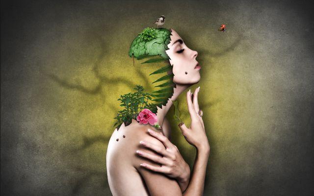 Image abstraite de moitié femme moitié plante, concept d&#39;unité avec la nature - Les styles originaux et abstraits ne perdront pas leur attrait en 2019 - Image