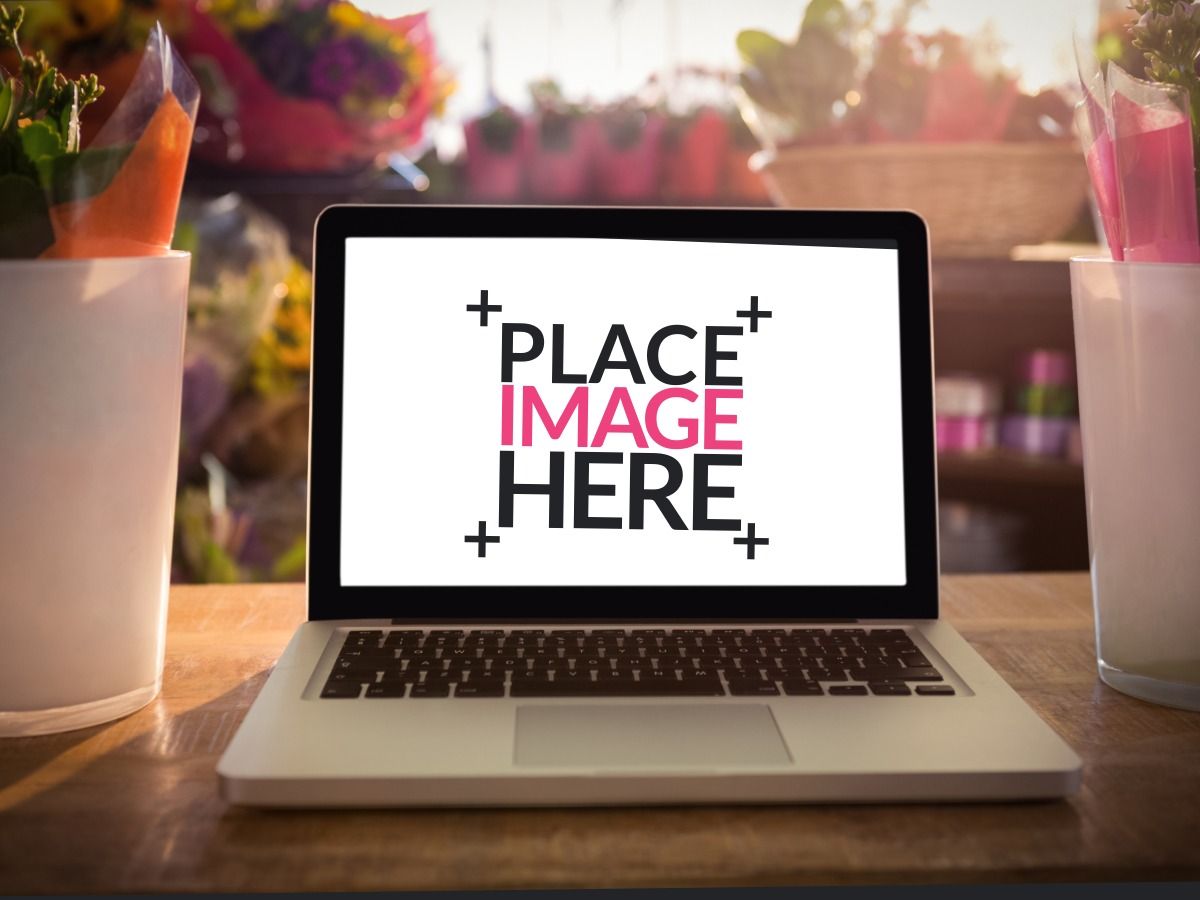 The laptop sits on the table between two potted plants with the words “place image here” on the screen - Convenient packaging design - Image