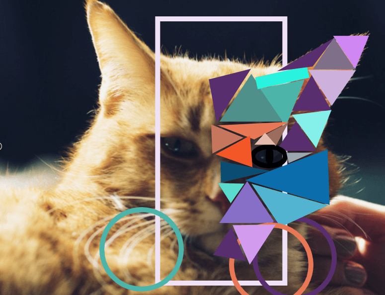 Des motifs géométriques moitié-moitié avec image de chat - Une technique moitié-moitié - Image