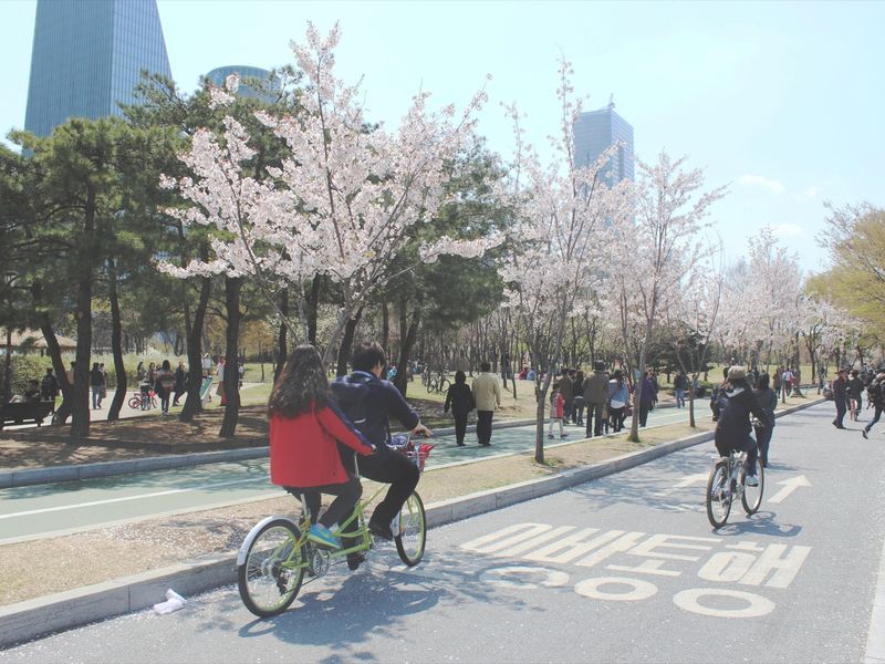 Foto von Menschen, die in Südkorea Fahrrad auf der Straße fahren – Fahrrad fahren, während sie einen Geburtstag feiern – Bild