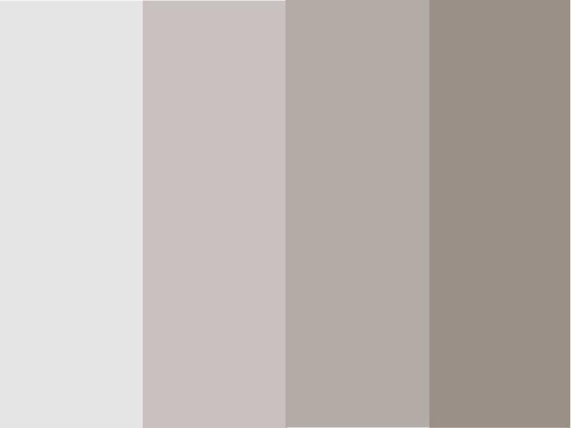 Third color palette white - The importance of a brand's color palette and how to choose the right colors - Image