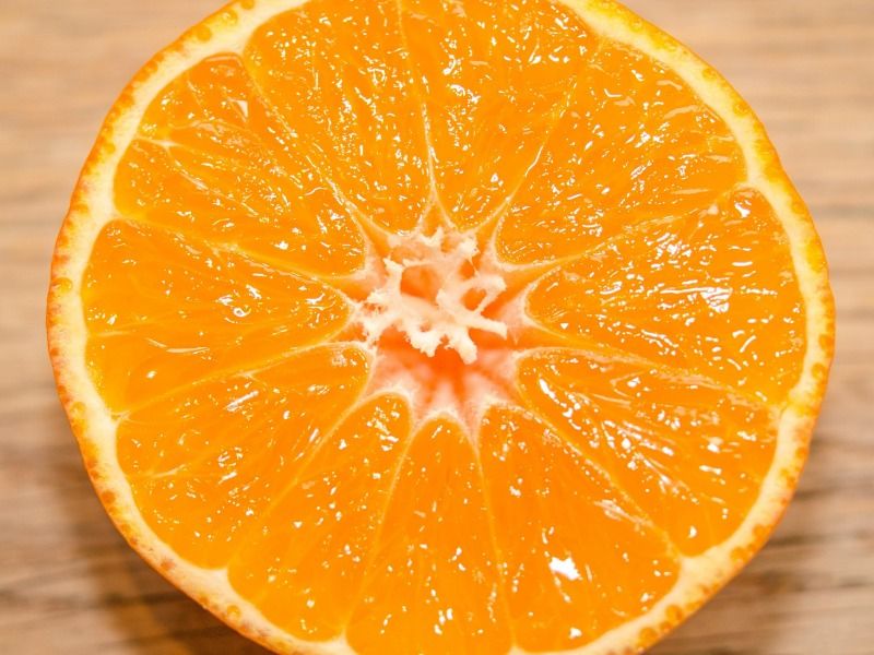 théorie des couleurs orange - Une orange coupe en deux - Image