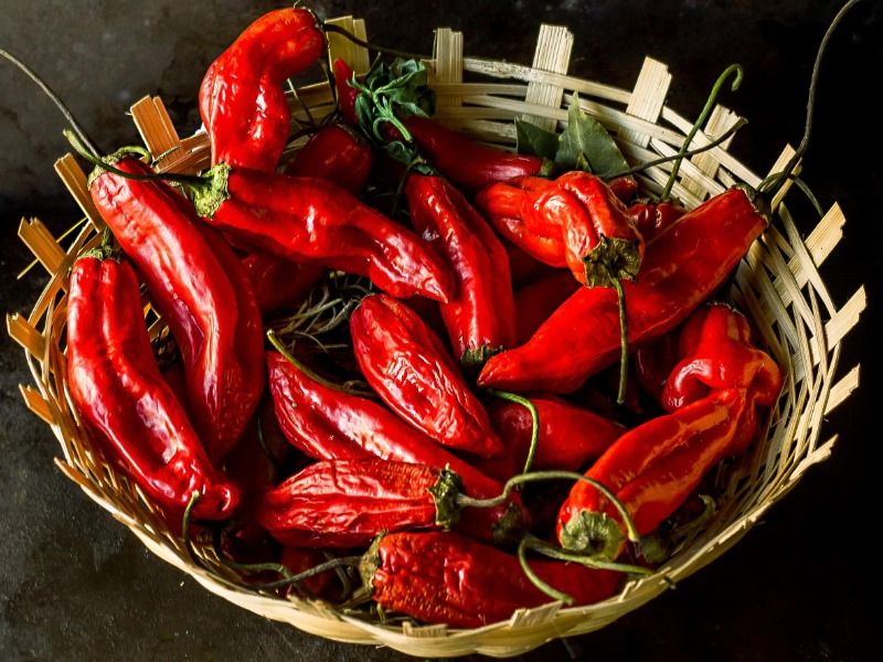 A bowl of chili - A brief guide on color theory for designers - Image