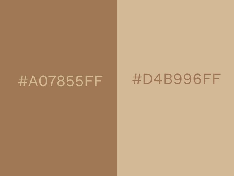 Brown Sugar and Beige colours - 80 attractive color combinations to try in 2021 - Image