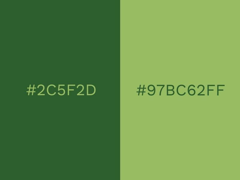 Forest Green and Moss Green colour combination - 80 attractive color combinations to try in 2021 - Image
