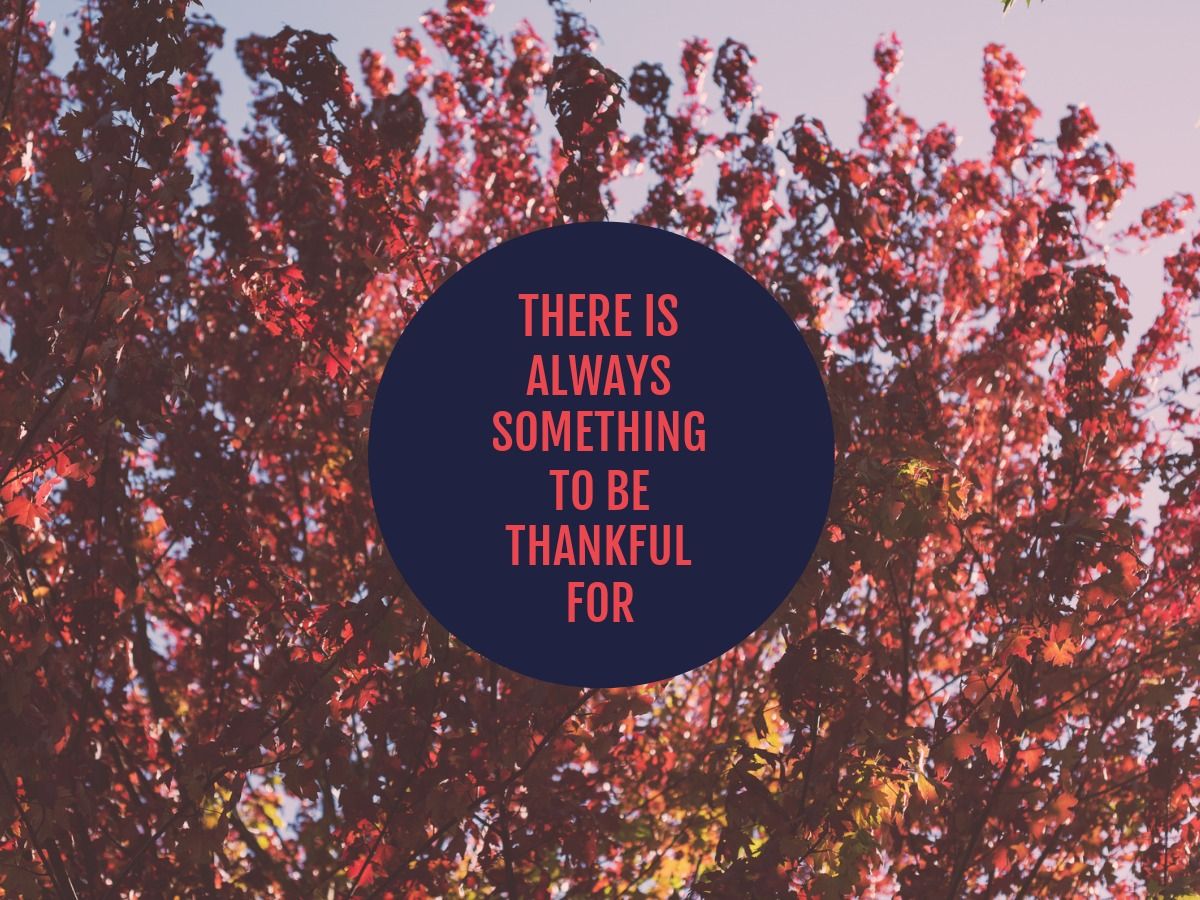 Thanksgiving quote design - 50 ideas and templates to use in your designs - Image