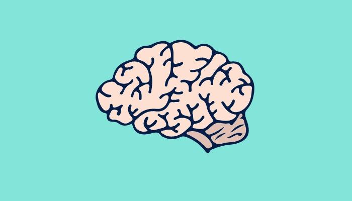 Icono de un cerebro sobre fondo turquesa