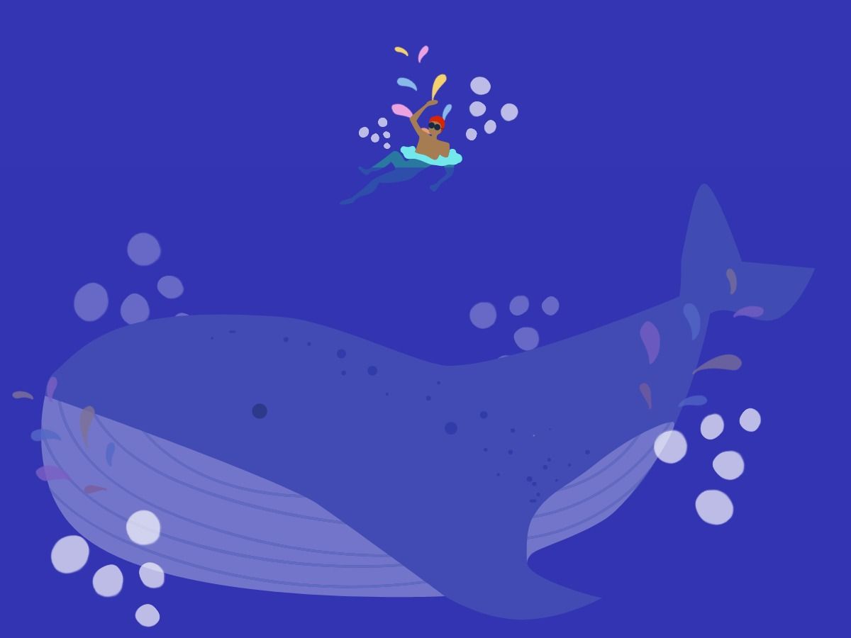 baleia no oceano com mergulhador