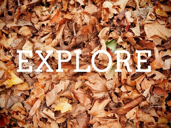 The word Explore on the background of fallen autumn leaves - Amazing Facebook post ideas for businesses - Image