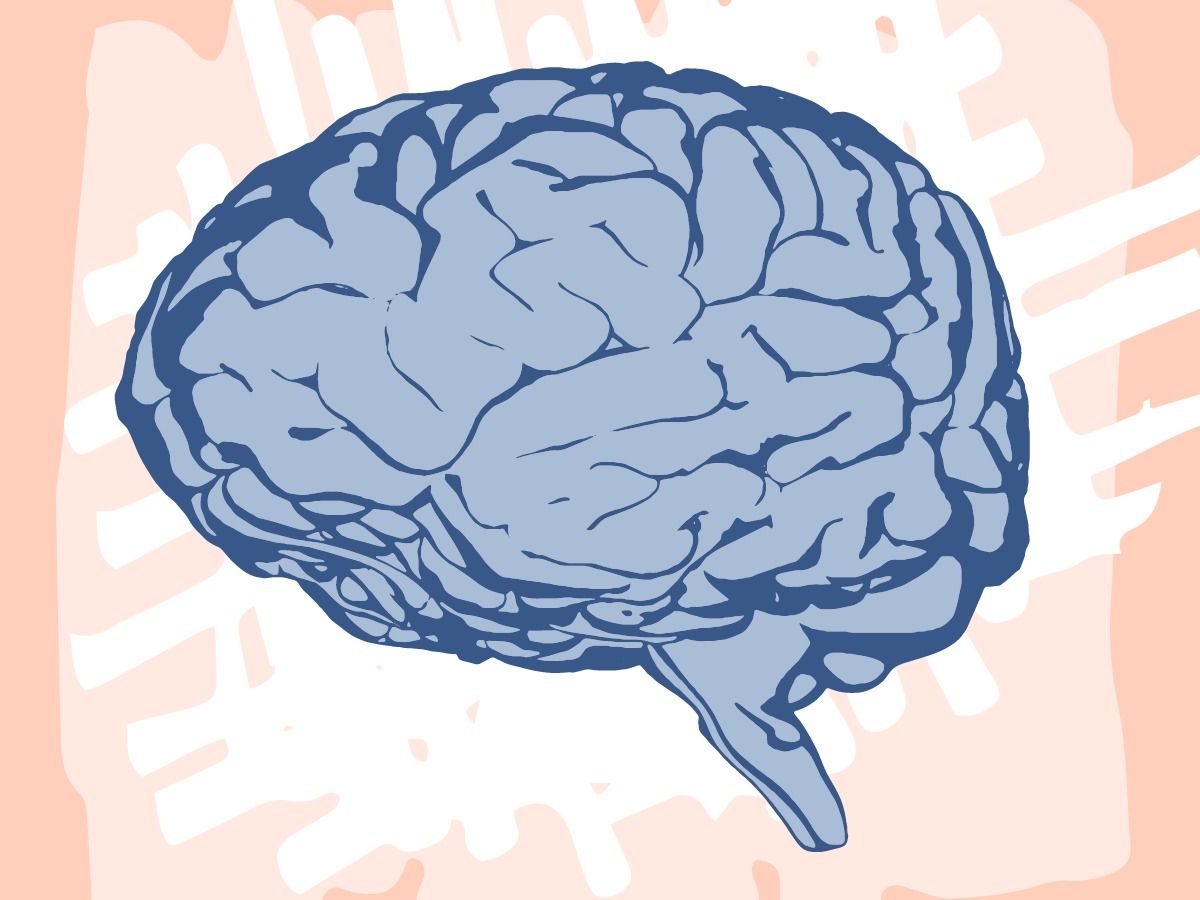 Grafik des Gehirns auf Kritzelhintergrund