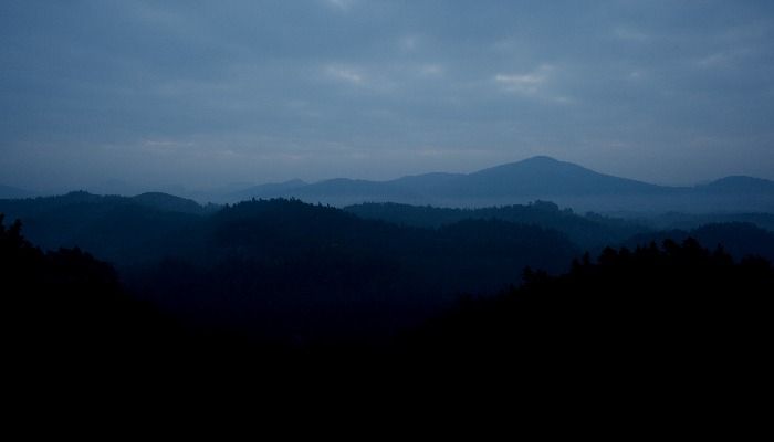 Dark forest landscape - Free online photo enhancement with Design Wizard - Image
