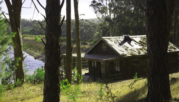 Photo of a house in the forest with adjusted hue - Free online photo enhancement with Design Wizard - Image