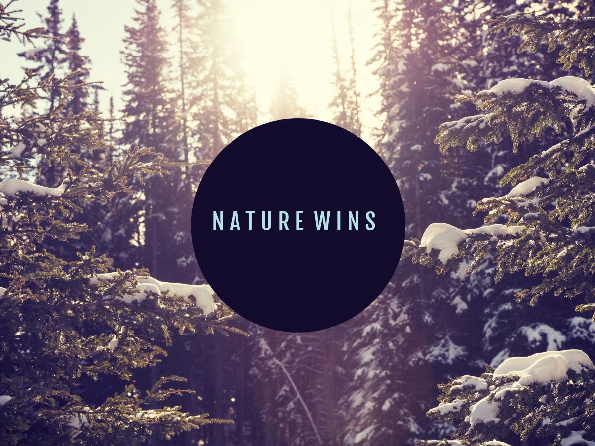 La nature gagne le modèle - Un guide sur la façon d'augmenter les ventes en ligne pendant Covid - Image