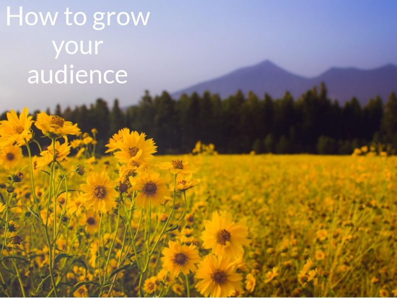Flowers in Meadow with mountains in the background. Text displaying "how to grow your audience" - How to start a vlog: Everything you need to know - Image