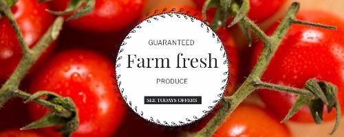 Farm Fresh ad on tomato background - The best social media marketing tips for starting and growing your business - Image