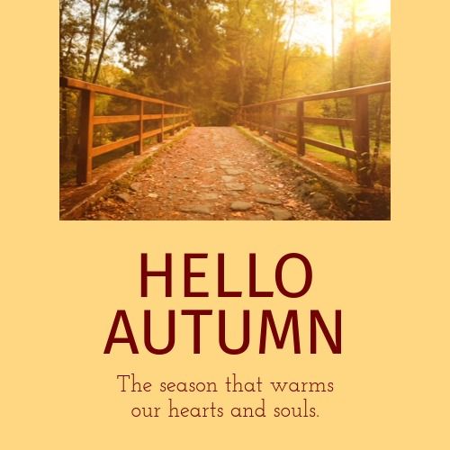Postcard 'Hello autumn' with a photo of an autumn forest bridge - Bright summer color palettes to inspire your next design - Image