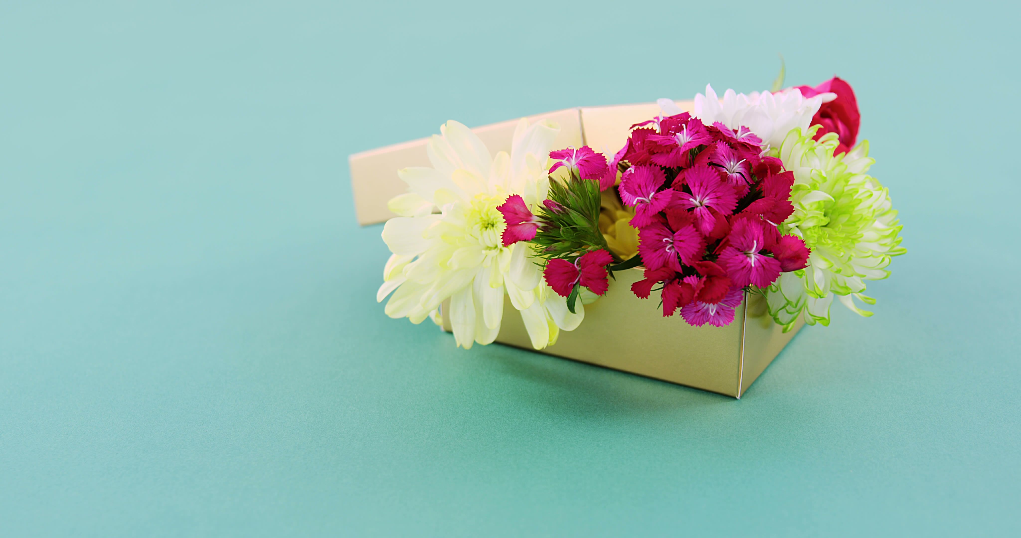 Colorful flowers arrangement in beige gift box on turquoise background - Image