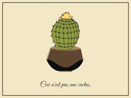 Image d'un cactus avec fond jaune pale et texte - Images 