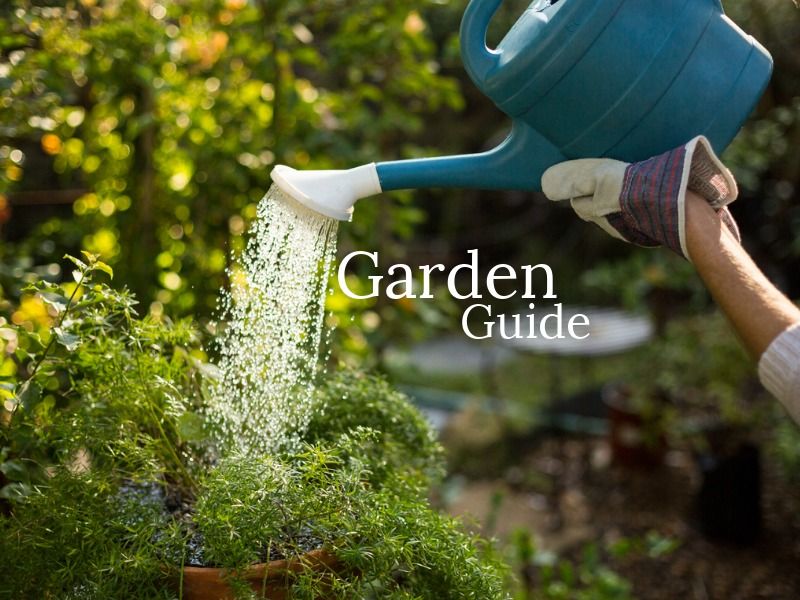 A watering can pours into a garden with flowers - 36 creative YouTube banner ideas and examples to boost your inspiration - Image