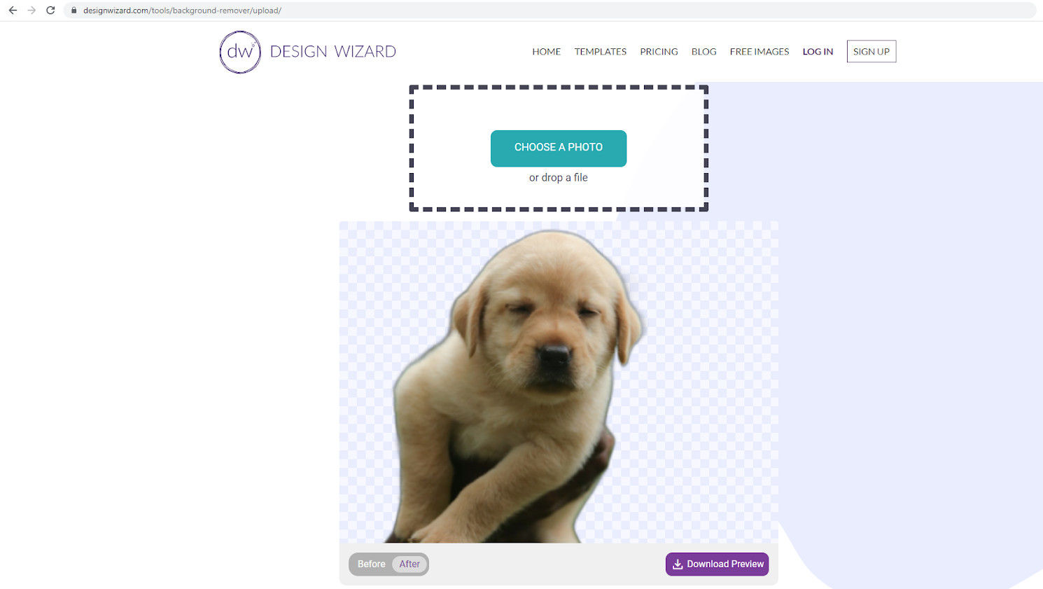 Screenshot of page with picture of a puppy